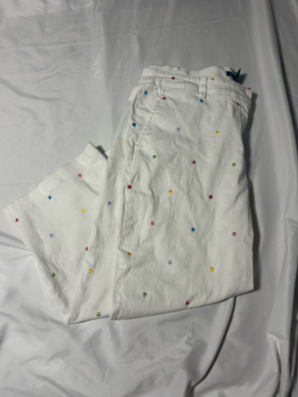 Briggs New York Womens Capri Pants White Embroidered Polka Dots Size 16 - Picture 2 of 13